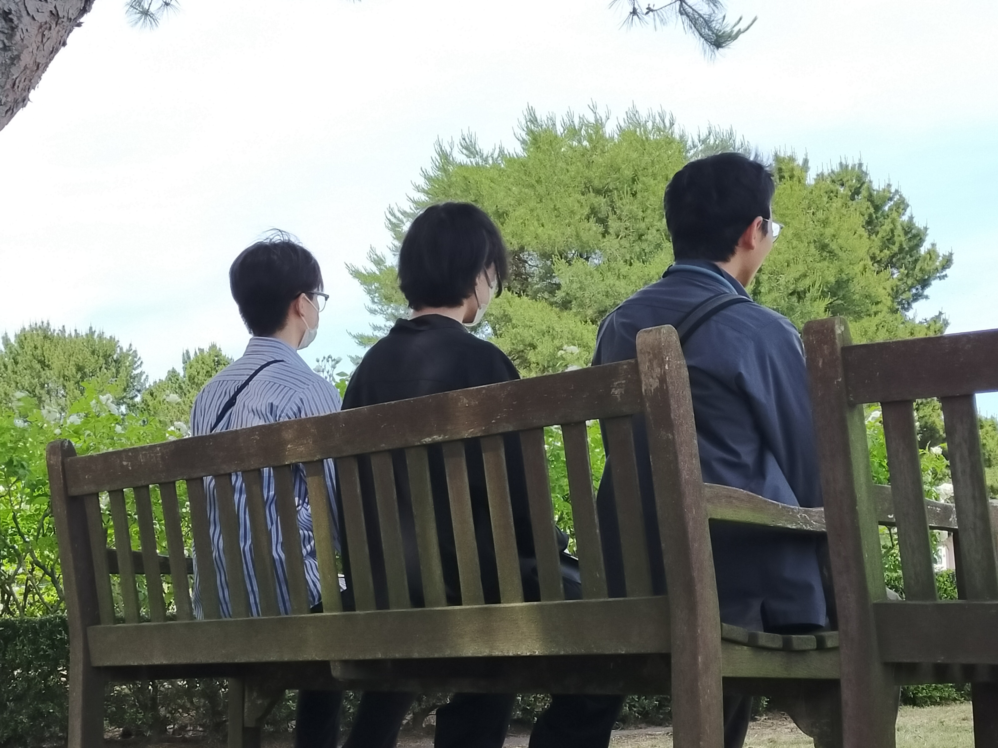 公園のベンチで撮影会の合間を過ごす参加者の後ろ姿