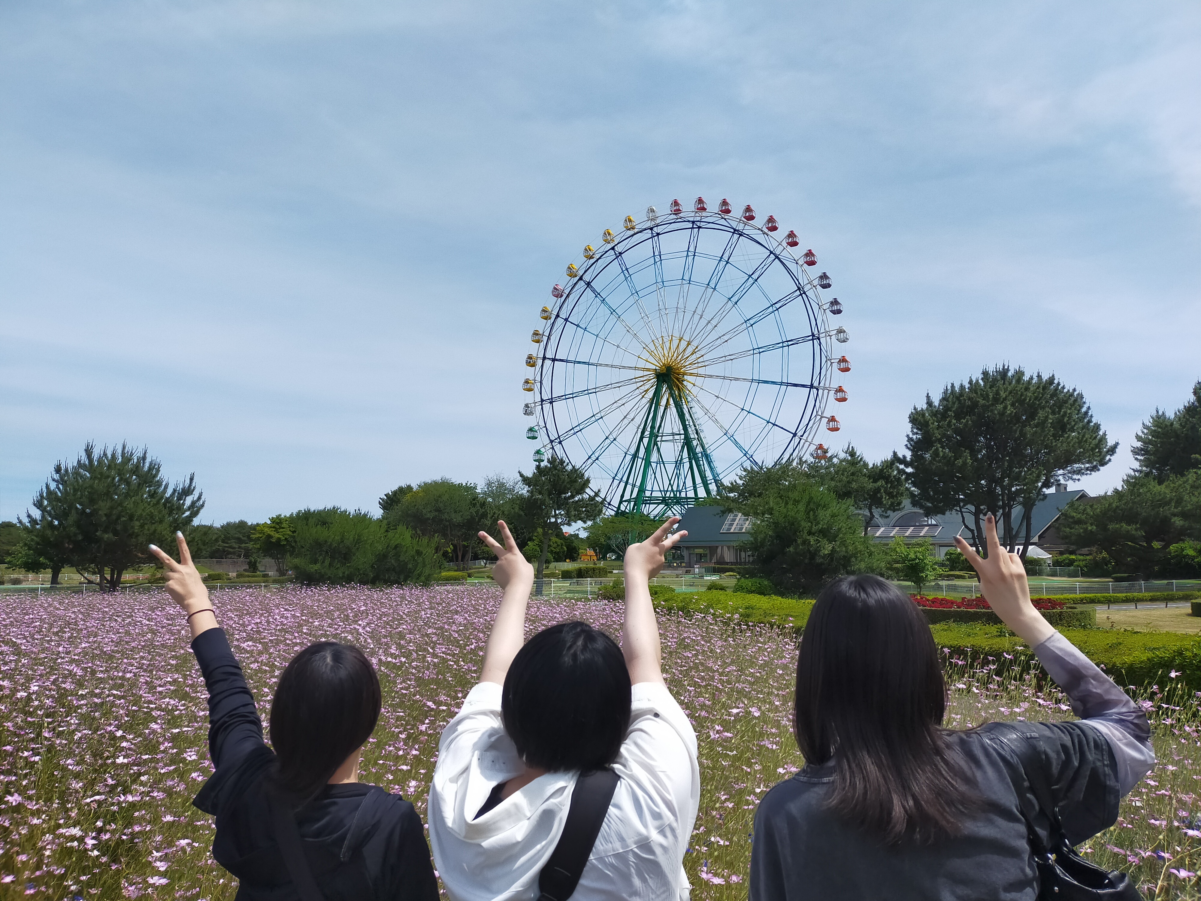 観覧車を望む花畑で構図を試す参加者の後ろ姿