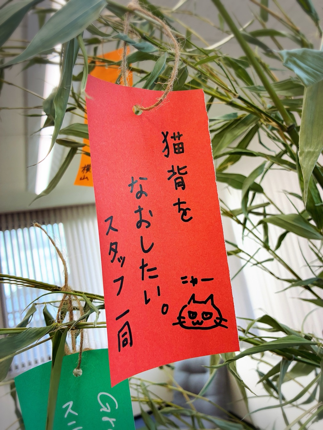 「猫背をなおしたい。スタッフ一同」と猫のイラストが描かれた赤い短冊